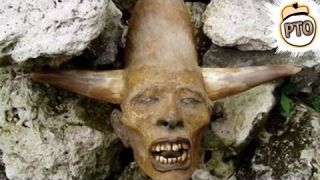 8 Weirdest Fossils Ever Discovered