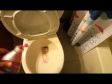 New Dads Learn How To: "Unclog your Toilet with Liquid Soap"