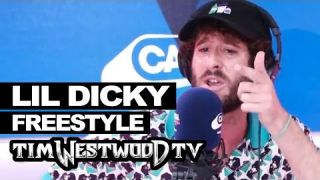 Lil Dicky freestyle - Westwood
