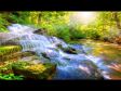 8 HOURS Relaxing Nature Sounds-Sleep-Study-Meditation-Spa Water Sounds Bird Song