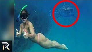 Most Dangerous Photos People Have Ever Taken